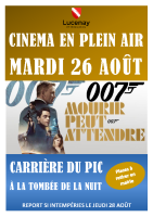 affiche cinéma 007